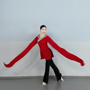 两穿两色团体服演出服蹈服装 短袖 水袖 古典舞蹈练功服身韵舞服甩袖