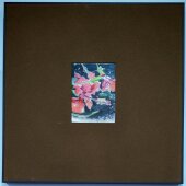 那大沉香 老梅画梅沉香画框 多样发其一 可选 可定制