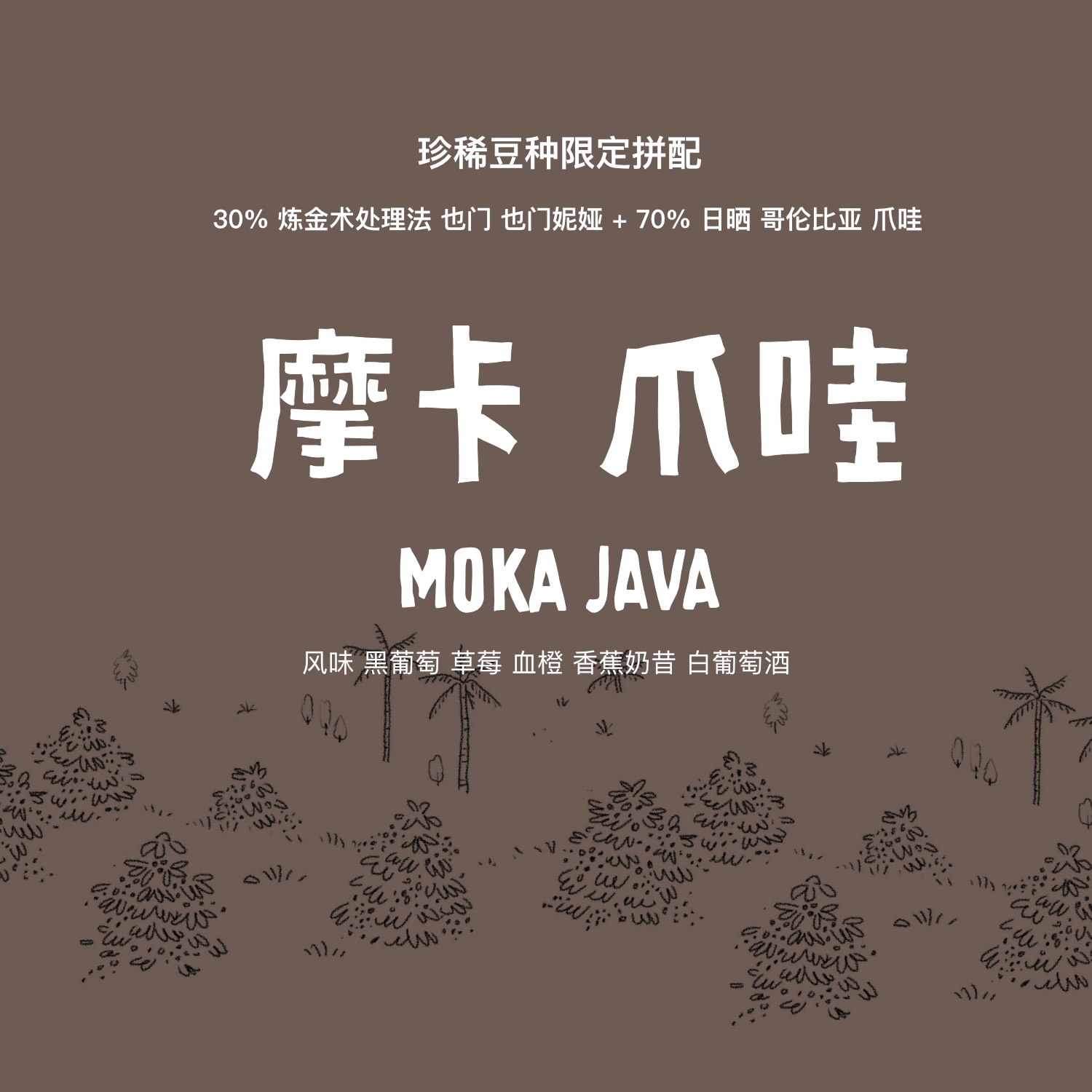 珍惜豆种拼配河汉咖啡摩卡爪洼