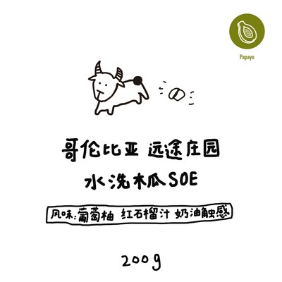 【河汉咖啡】哥伦比亚 远途庄园 水洗木瓜SOE 中烘意式豆 200g