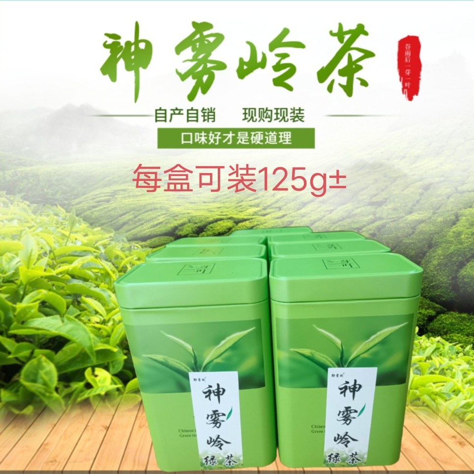 神雾岭谷雨后一芽一叶