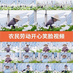 高清畫質農民辛勤勞動開心笑臉豐收喜悅視頻素材