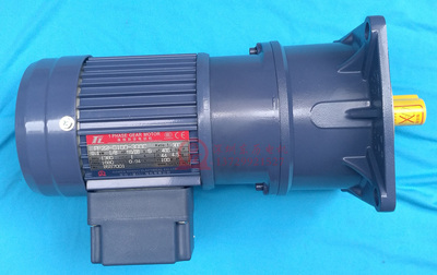 TL单相减速电机厦门东力电机PF22-0100-300C 0.1KW / 8hp