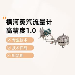 重庆川仪VFE智能型涡街流量计