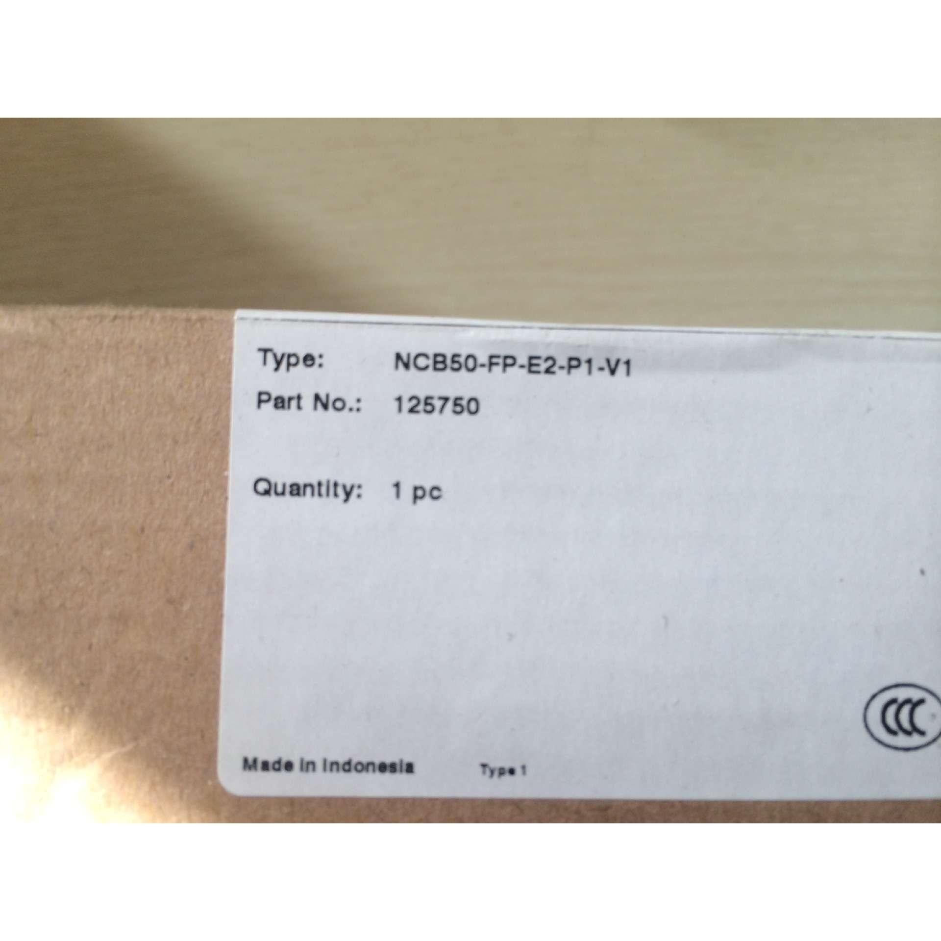 P+F 电感式接近开关 NCB50-FP-E2-P1-V1