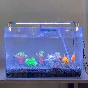 小型壁挂式 透明过滤盒低水位龟缸鱼缸过滤循环系统雨淋水幕过滤器