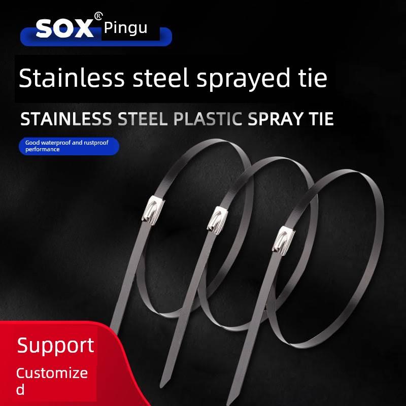 304喷涂不锈钢领带制造商自锁耐高温4.6*300mm黑色金属领带