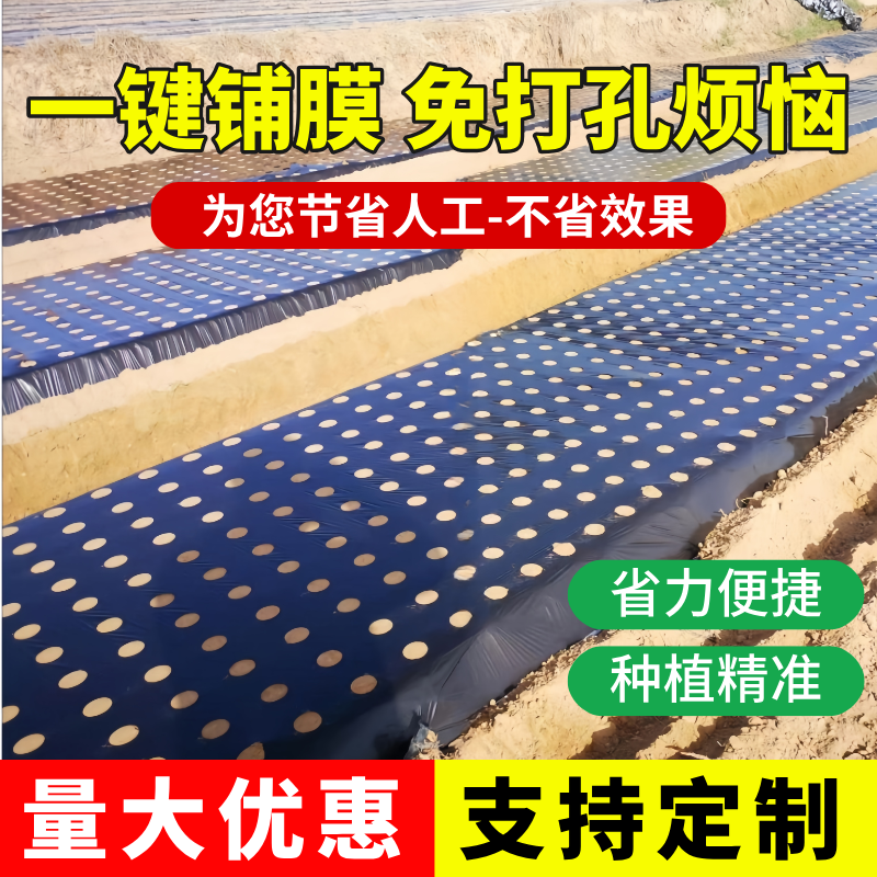 农用种植打孔地膜黑膜防草菜地玉米开孔带孔薄膜除草保温免打孔膜
