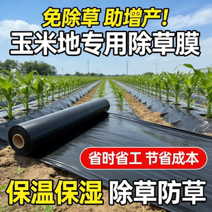 玉米专用地膜黑色一次性黑膜盖菜防草布加厚塑料薄膜农用种植草莓