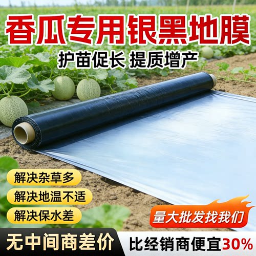 银黑双色地膜打孔带孔农业种植膜