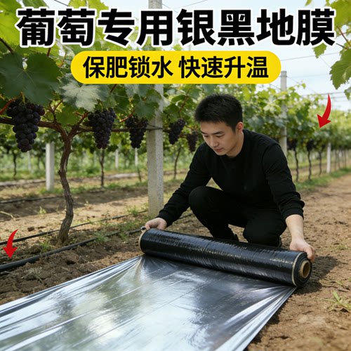 银黑双色地膜打孔带孔农业种植膜