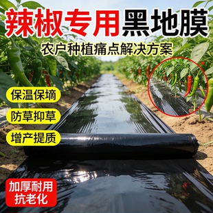 辣椒专用地膜黑色加厚农用种植塑料薄膜菜园保温防长草防草布除草