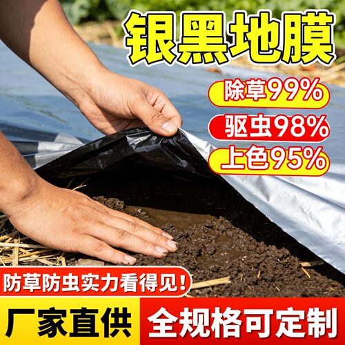 银黑双色地膜打孔带孔农业种植膜