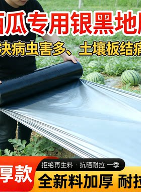 银黑双色地膜打孔带孔农业种植膜