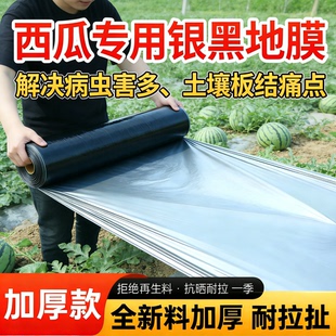西瓜专用银黑双色农用种菜种植地膜加厚保温反光除草农业塑料薄膜