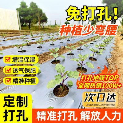 打孔银黑地膜农用种植菜专