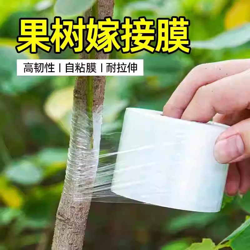 果树嫁接膜架接专用膜PE无需打结薄膜嫁接绑带果树苗木包扎带自粘