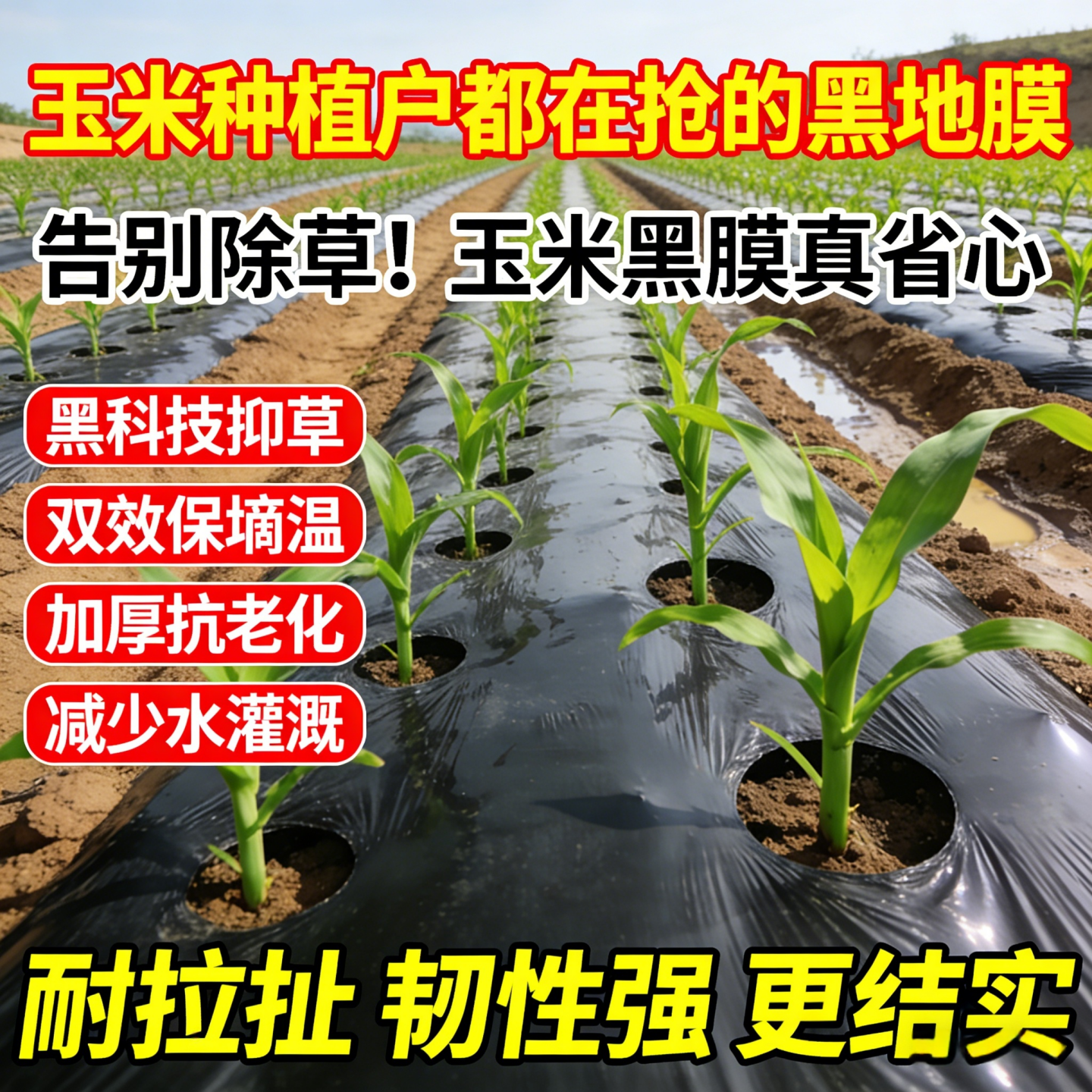 玉米专用地膜黑色加厚农用种植新型盖菜防草布一次性黑膜塑料薄膜,农机/农具/农膜,农用薄膜,淘宝优惠券,粉丝福利购,淘宝优惠卷
