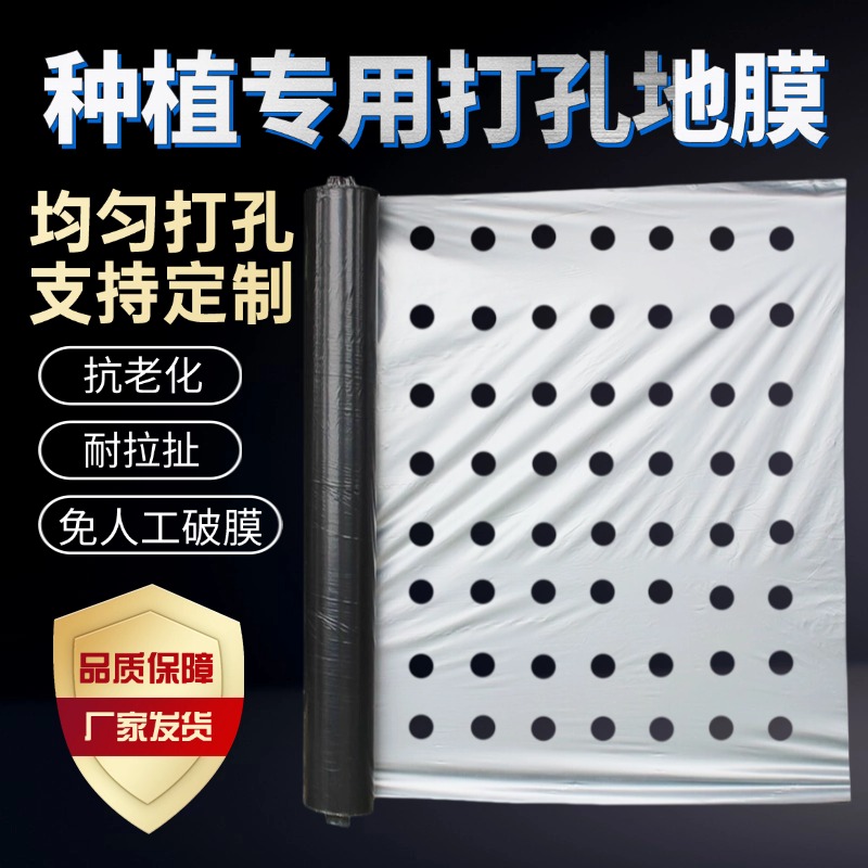 【种植基地严选】打孔地膜TOP