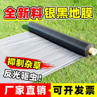 银黑双色农用种菜种植地膜加厚保温反光除草农业塑料薄膜打孔地膜
