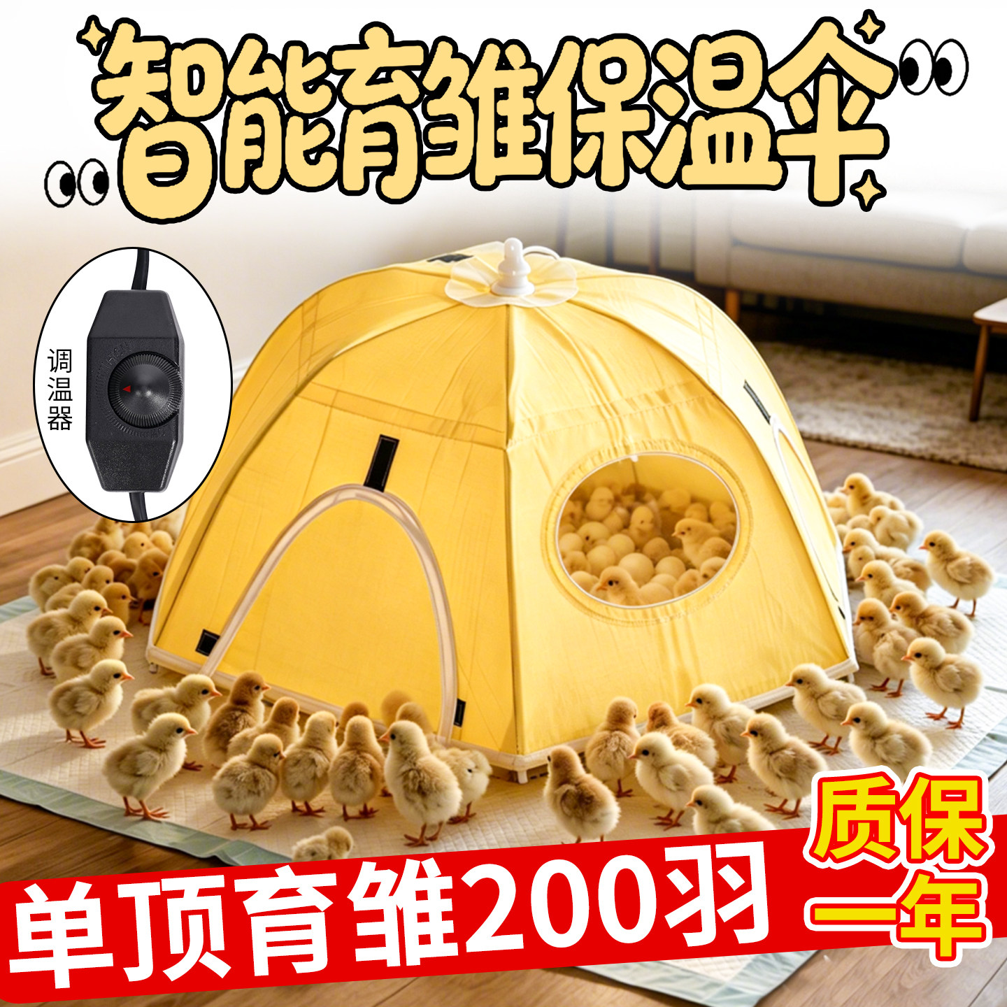 育雏保温伞小鸡小鸭保温电热伞