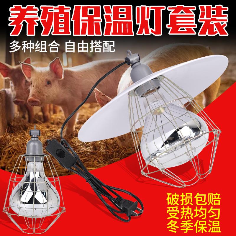 小鸡育雏养殖场猪用保温灯