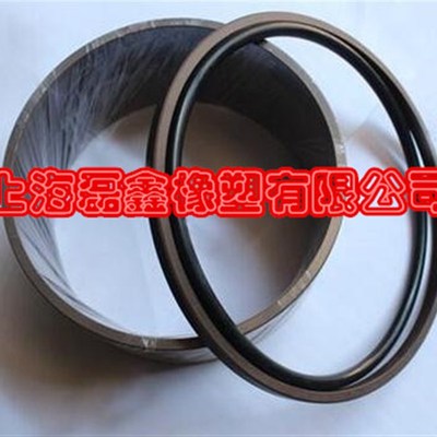 STD格来圈GSF470*445.5*8.1(O型圈在内) 活塞组合油封PG孔用