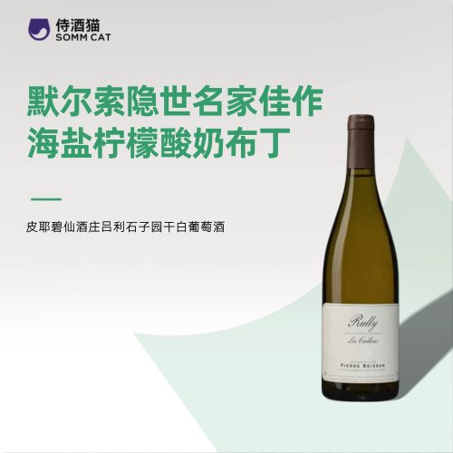 皮耶碧仙法国干白葡萄酒750mL