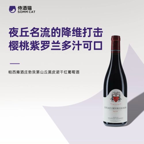 法国勃艮第山丘黑皮诺干红葡萄酒