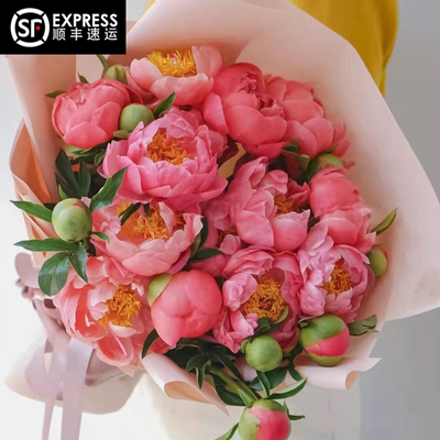 顺丰包邮进口落日珊瑚芍药鲜花