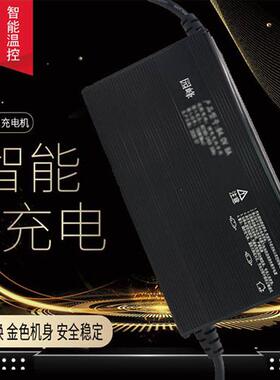电动汽车三轮车四大功率充电器48伏150AH60v72V810AW安干池冲电机