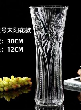 玻璃花瓶透明水养富贵竹百合花瓶摆件客厅插花干花北欧家用特大号
