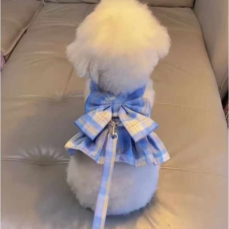 狗狗牵引绳夏季薄款泰迪比熊博美雪纳瑞小型犬jk裙宠物猫咪胸背带