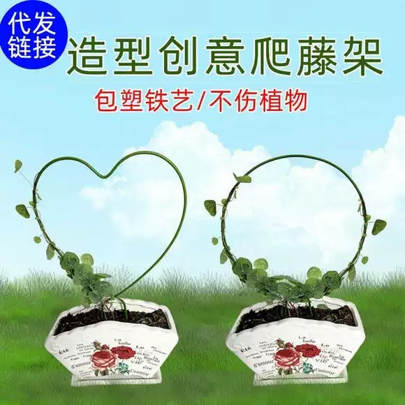 室内铁艺圆形心形雪莹山乌龟甲龙蝴蝶兰造型花架爬藤架子植物支