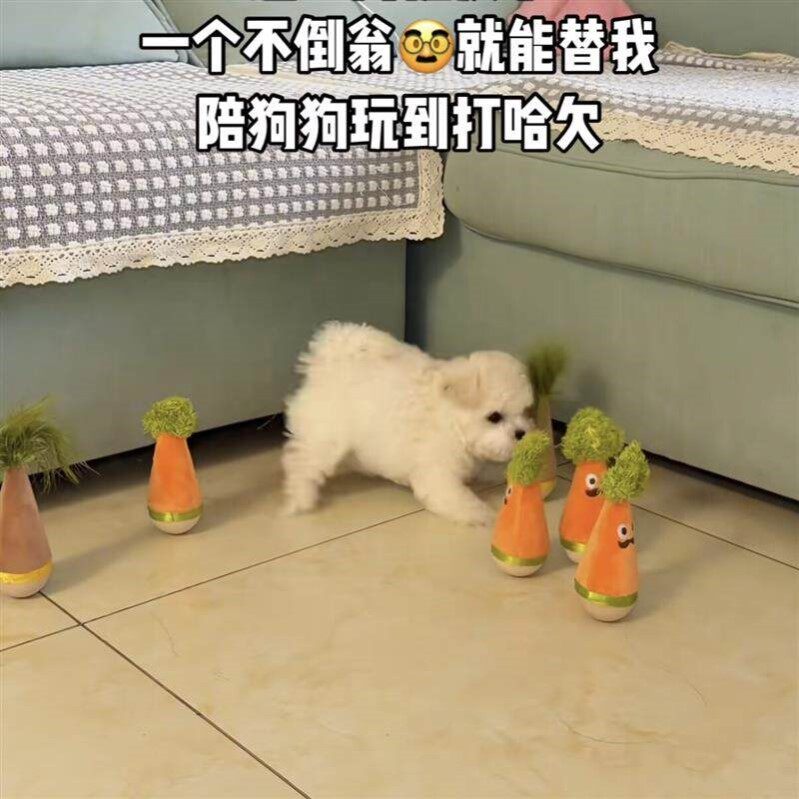 狗狗不倒翁玩具宠物猫咪摇摇乐羽毛逗猫棒消耗体力解闷自嗨小神器