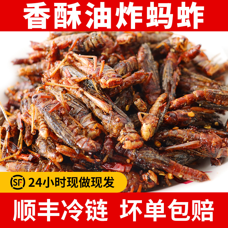 蚂蚱油炸香酥开袋即食蚕蛹新鲜带籽蝗虫烧烤食用蚱蜢零食昆虫美食
