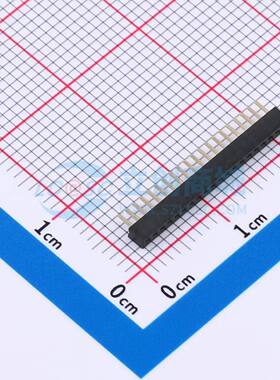 排母 B100N01-0B20P51-H20C20 插件,P=1mm 1x20P 方孔 电子元器件