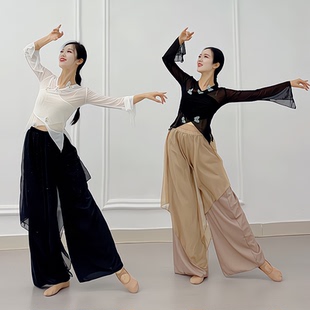 套装 新国风半朵古典舞 V领蝴蝶点缀纱衣上衣演出练功艺考星片裙裤