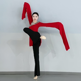 艺考练功舞台演出表演舞蹈服套装 新国风舞古典舞 V领复古刺绣水袖