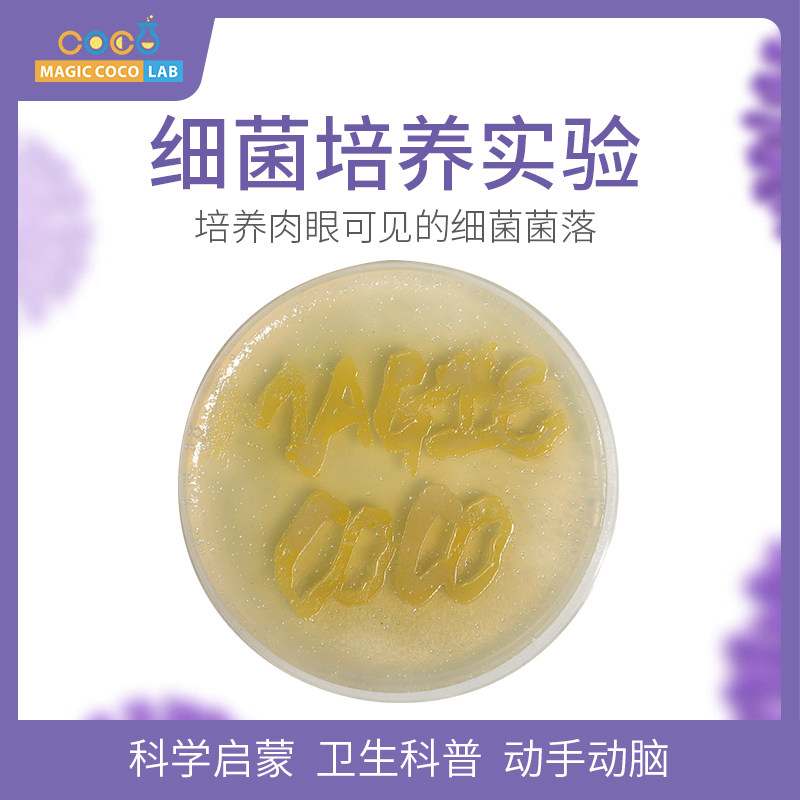 细菌培养微生物遗传科学小实验套装 小学生儿童益智玩具steam材料