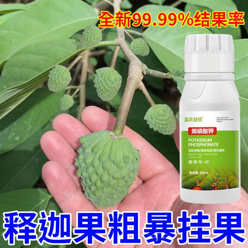 释迦果专用肥授粉座精番荔