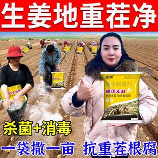 土壤杀菌消毒剂生姜地连作抗重茬专用防土传病害根腐微生物菌肥
