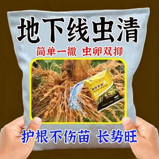 农用根结线虫专用剂淡紫紫孢菌根结根瘤除菌根线灵地下根通用菌剂