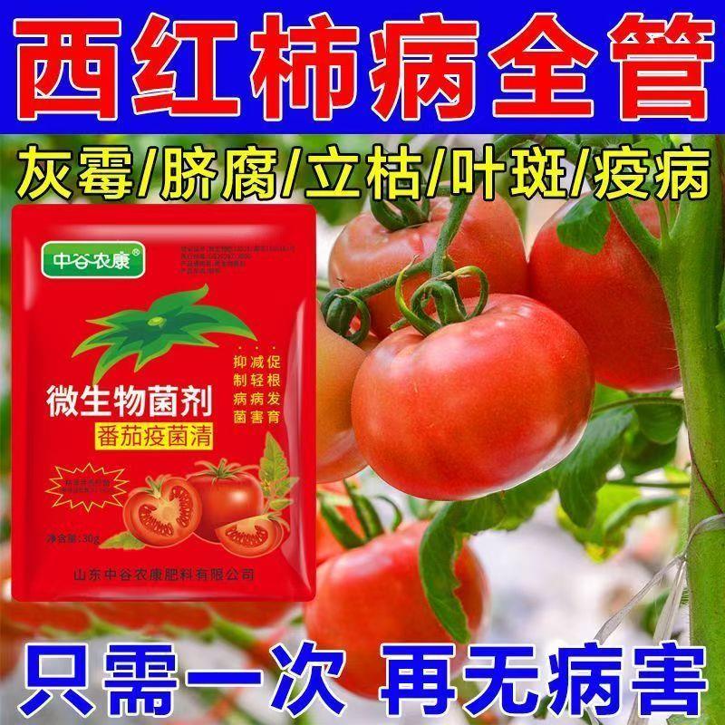 【店铺热销】番茄疫菌清正