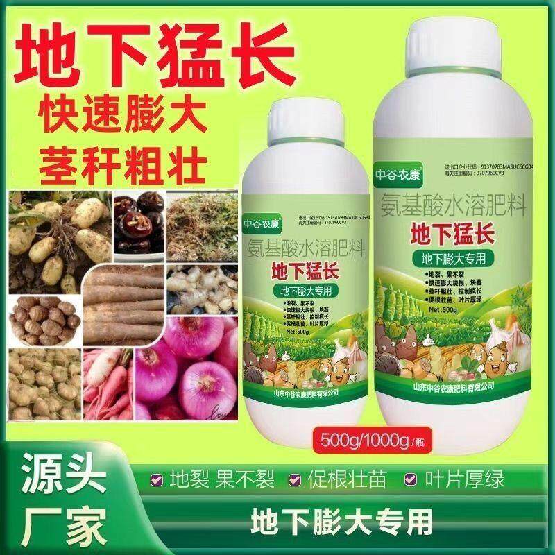 地下根茎块猛长膨大素肥料