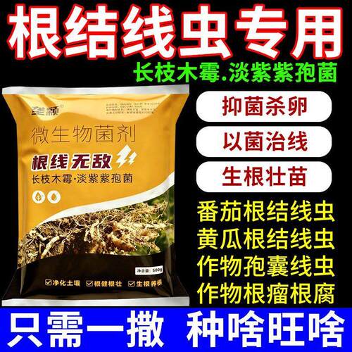 农用根结线虫紫孢菌杀菌菌剂