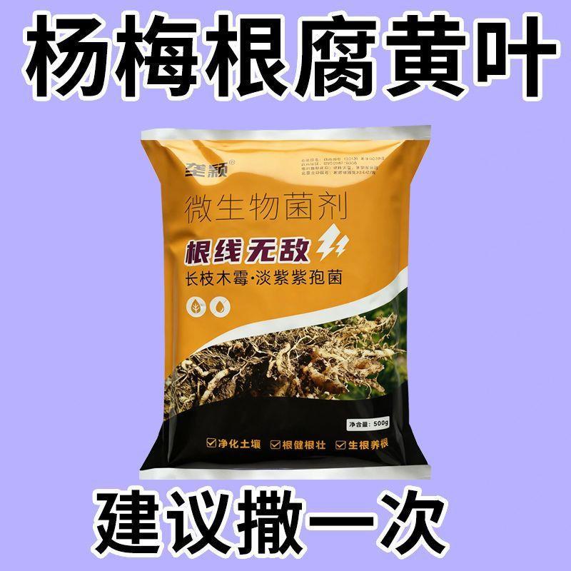 杨梅专用微生物菌肥除菌治根腐图片