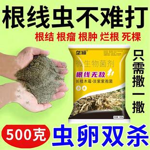 农用根结线虫淡紫紫孢菌根结根瘤杀菌根线灵地下根微生物菌剂