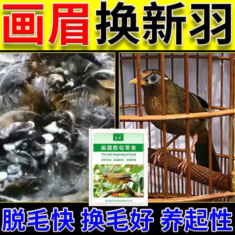 画眉换毛料鸟专用脱快零食