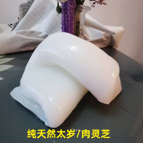 纯天然肉灵芝太岁保真包养活滋补